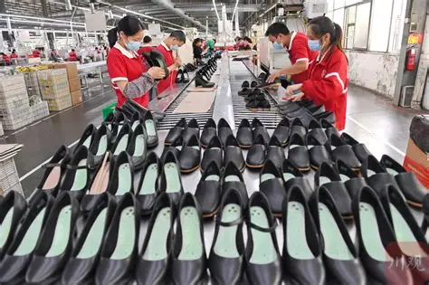 聚焦出口业绩与市场覆盖